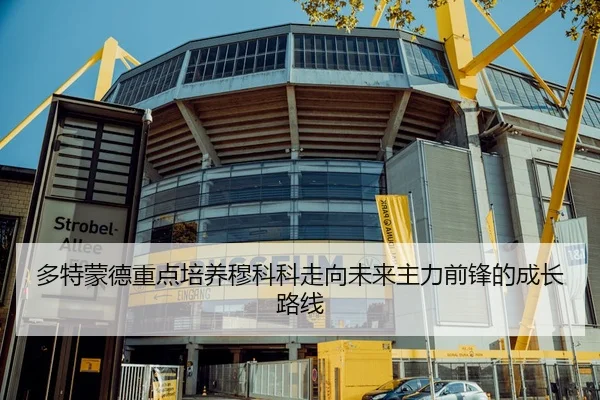 多特蒙德重点培养穆科科走向未来主力前锋的成长路线